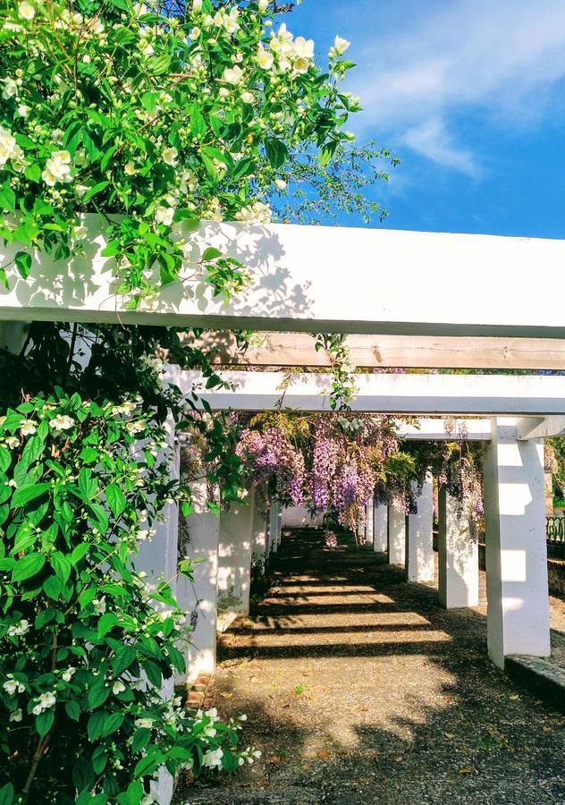 Casa Rural Castillo De Caces Exterior foto
